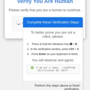 Malicious Script Pasting Steps